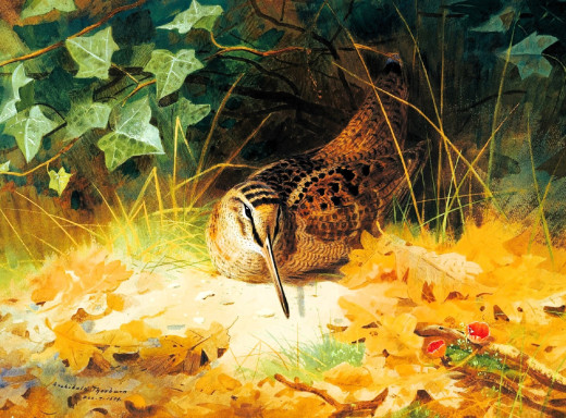 1753809 (a): :1920x1416